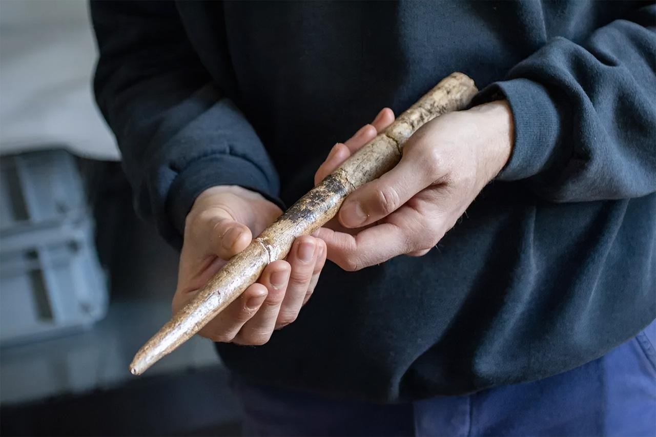 Oldest whale bone tools discovered in Europe reveal Stone Age humans used marine resources 20,000 years ago