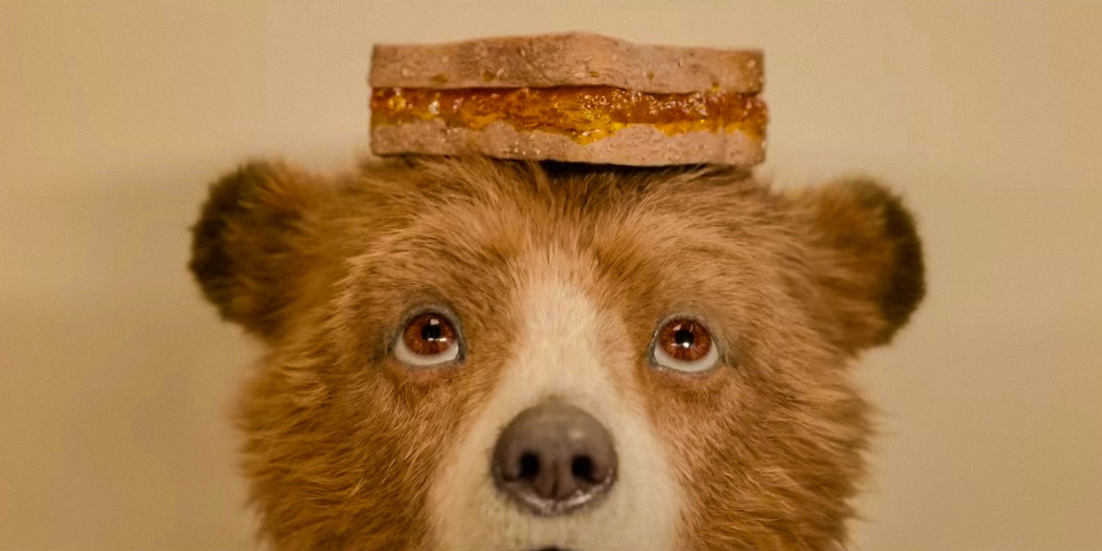 After 2 Near-Perfect Movies, Paddington 3’s Ending Is The Series’ First Real Misstep