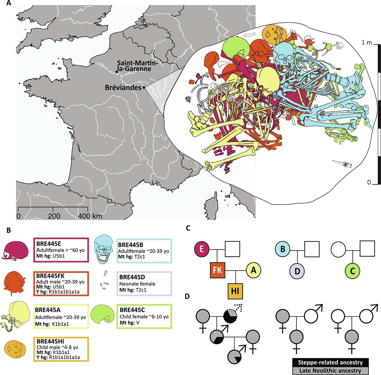 4,500-year-old tomb in France reveals the genetic legacy of steppe nomads in modern Europeans