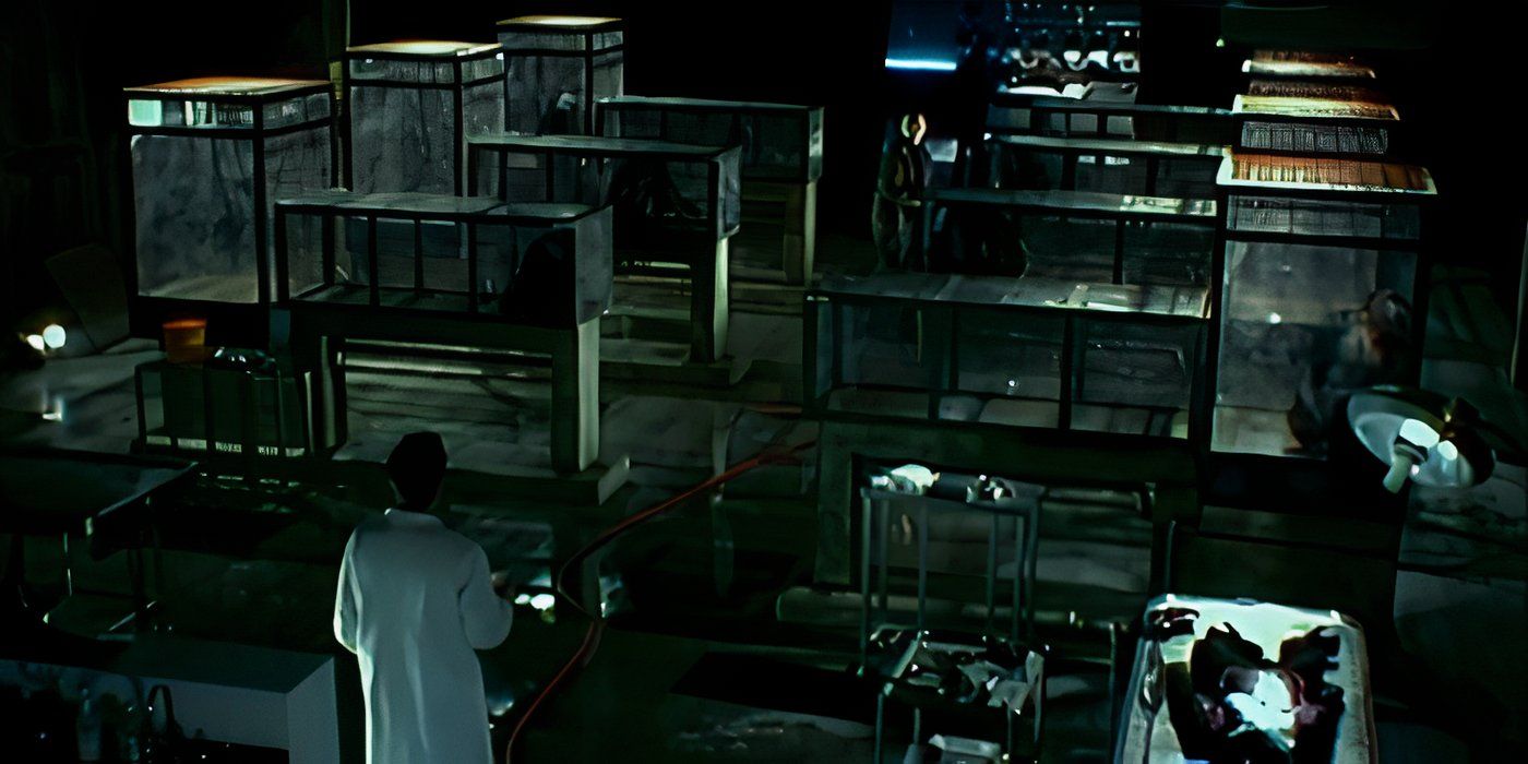 The Real Meaning Of 28 Days Later’s Opening Scene Explained The Real Meaning Of 28 Days Later’s Opening Scene Explained