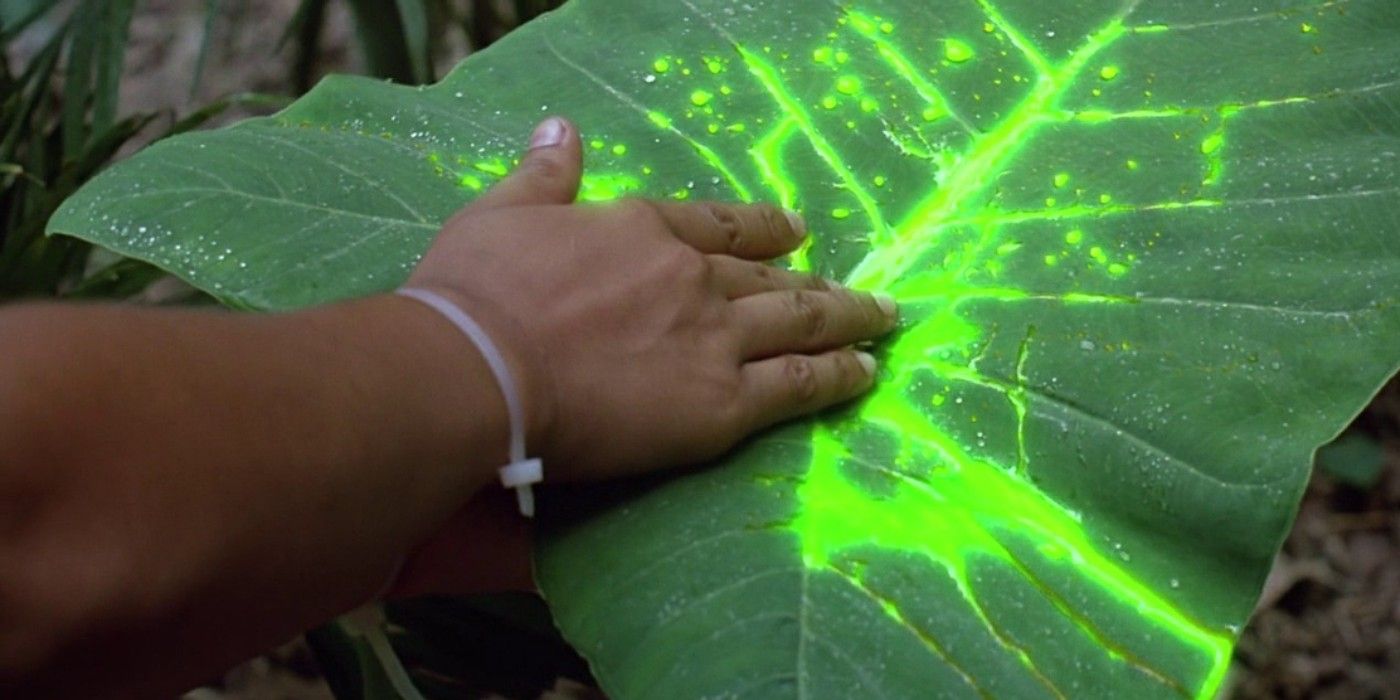 Why Predators Have Green Blood