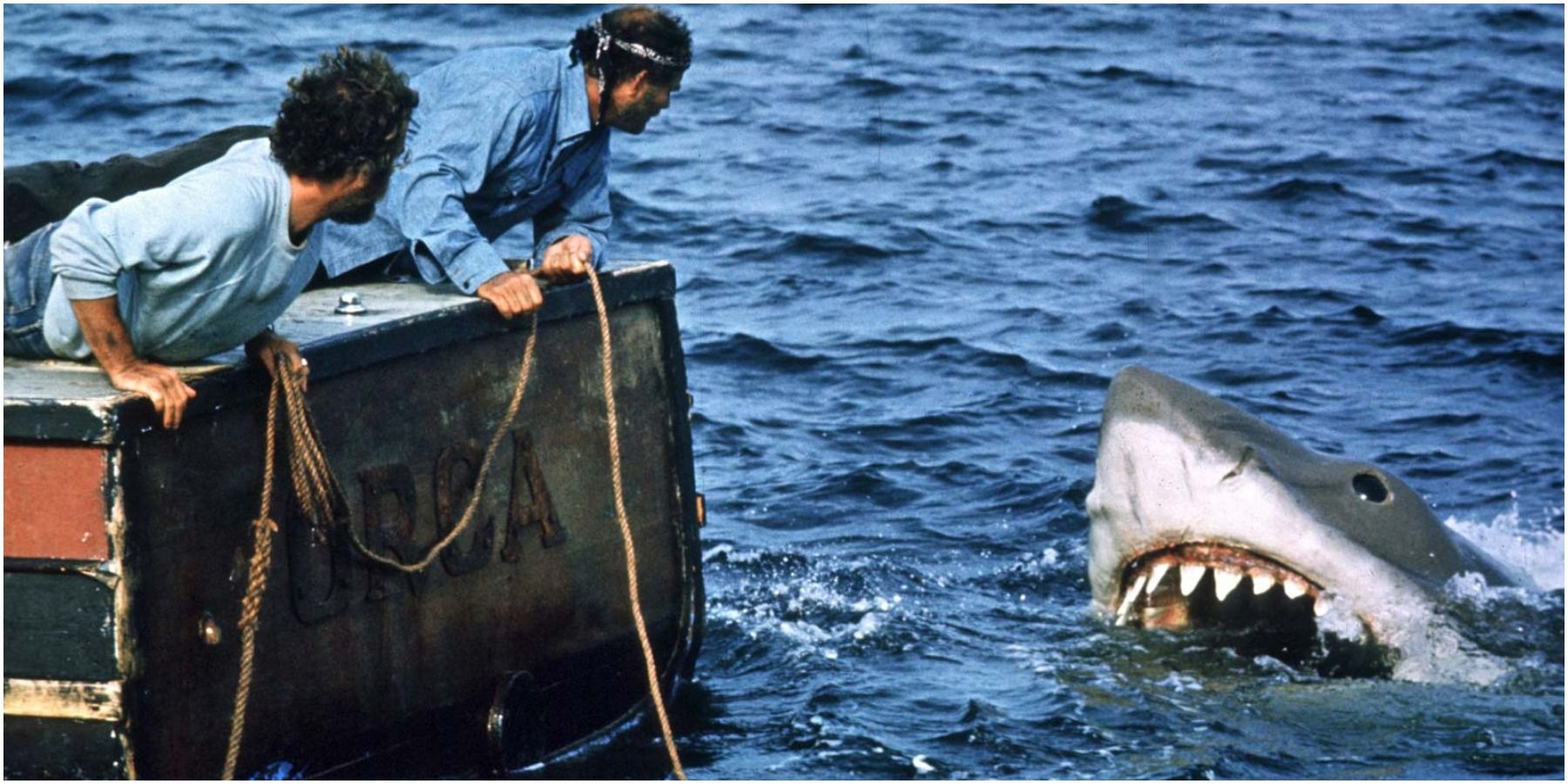 Steven Spielberg Reflects On Jaws Oscar Snub 50 Years Later: “I Was Believing The Noise”