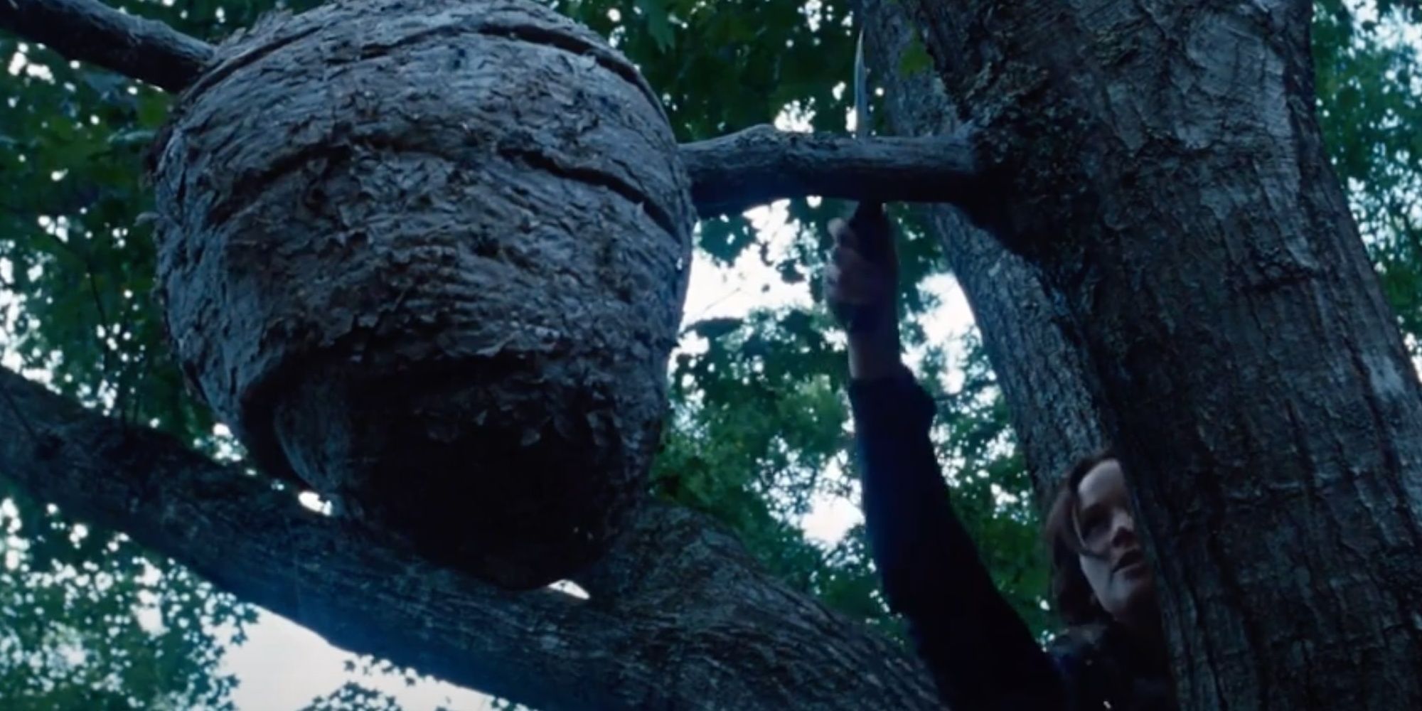 A Convincing Hunger Games Theory Reveals The Dark Real Reason Katniss Chose Peeta Over Gale A Convincing Hunger Games Theory Reveals The Dark Real Reason Katniss Chose Peeta Over Gale