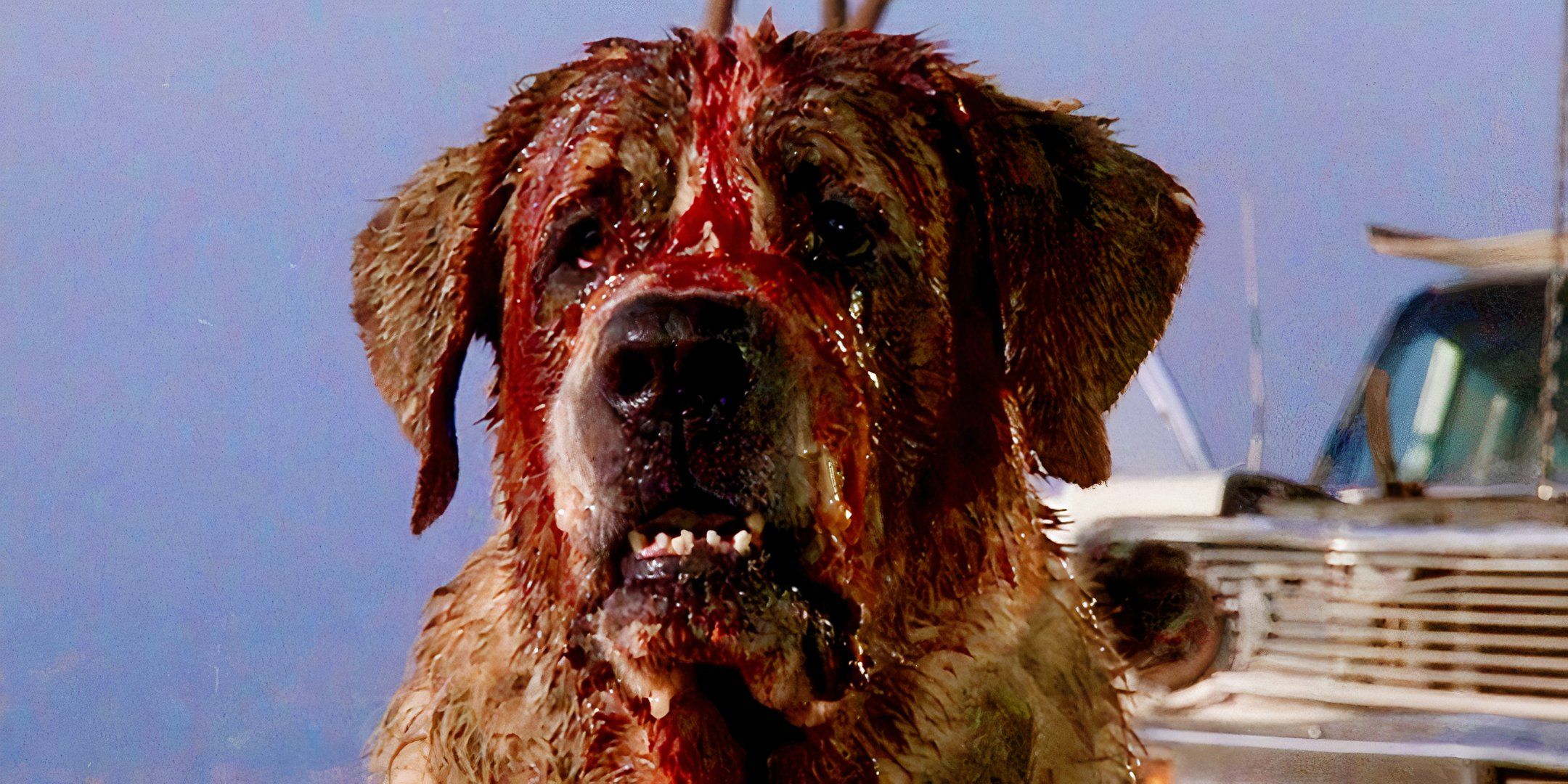 Cult Classic Stephen King Adaptation Getting New Streaming Home As Netflix Remake Continues Development