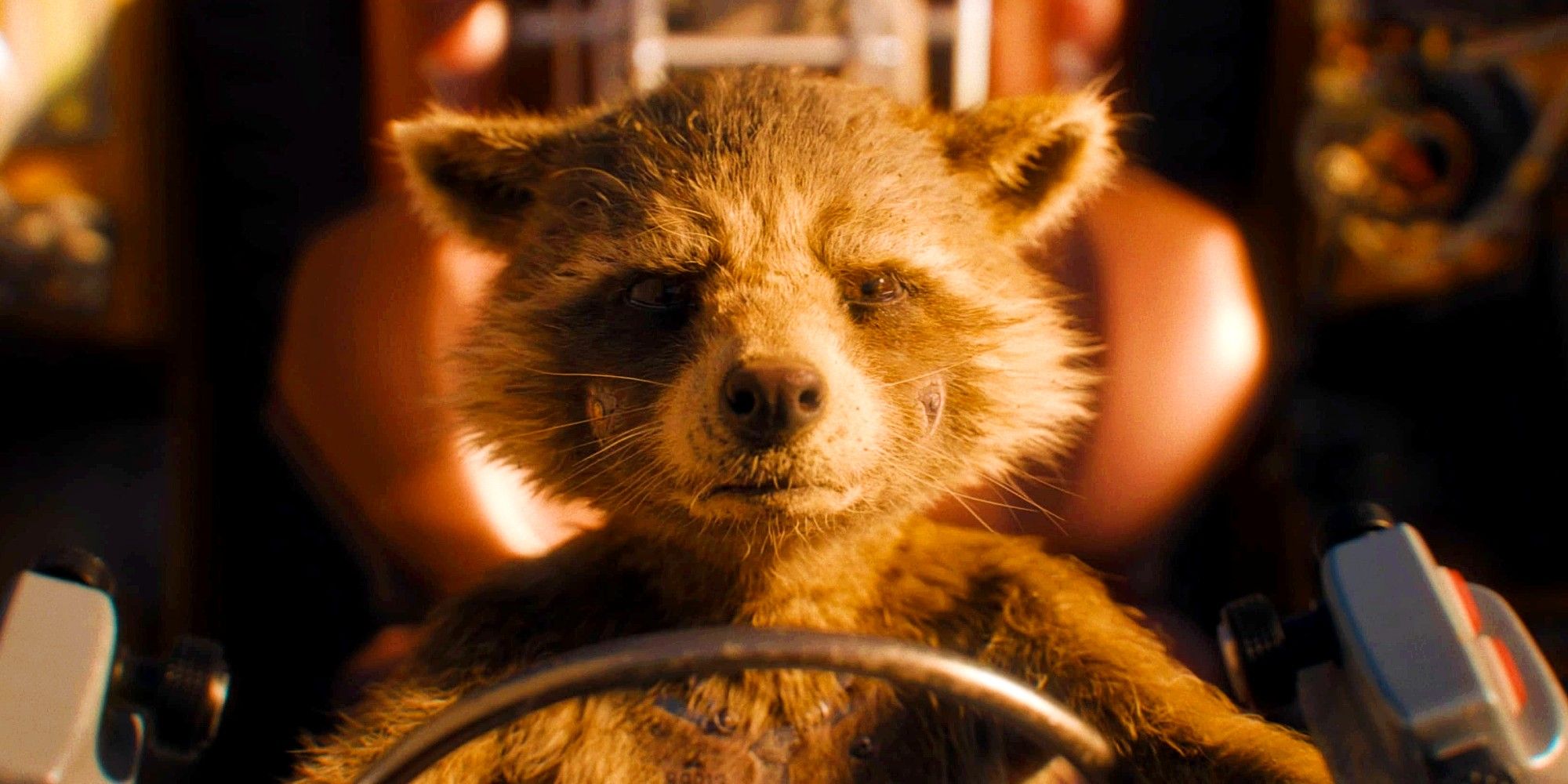 I Just Realized The Other Reason Rocket Doesn’t Like To Be Called An Animal After Rewatching Guardians Of The Galaxy Vol. 3 (And It’s So Much Worse)