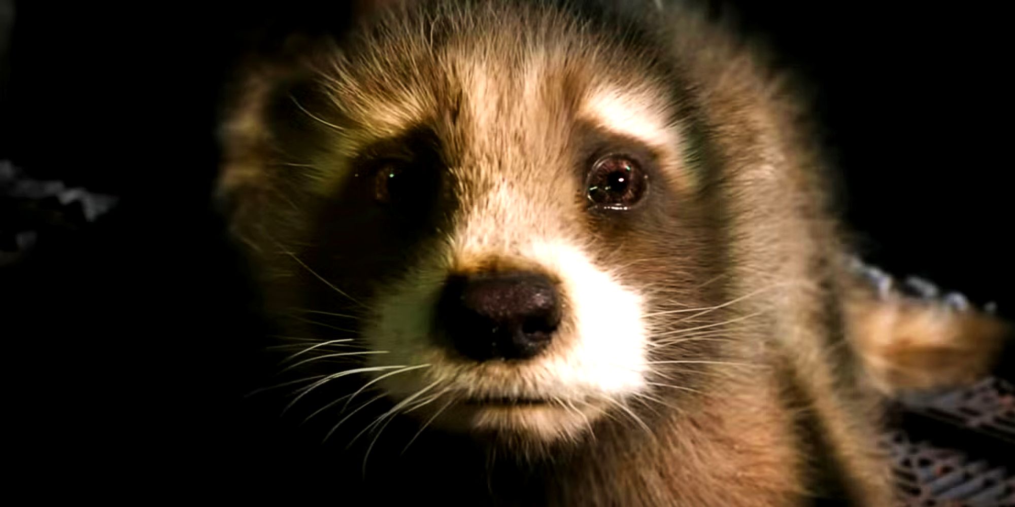 Rocket’s Story In Guardians of the Galaxy 3 Makes The Prison Break In The Original Movie So Much Sadder