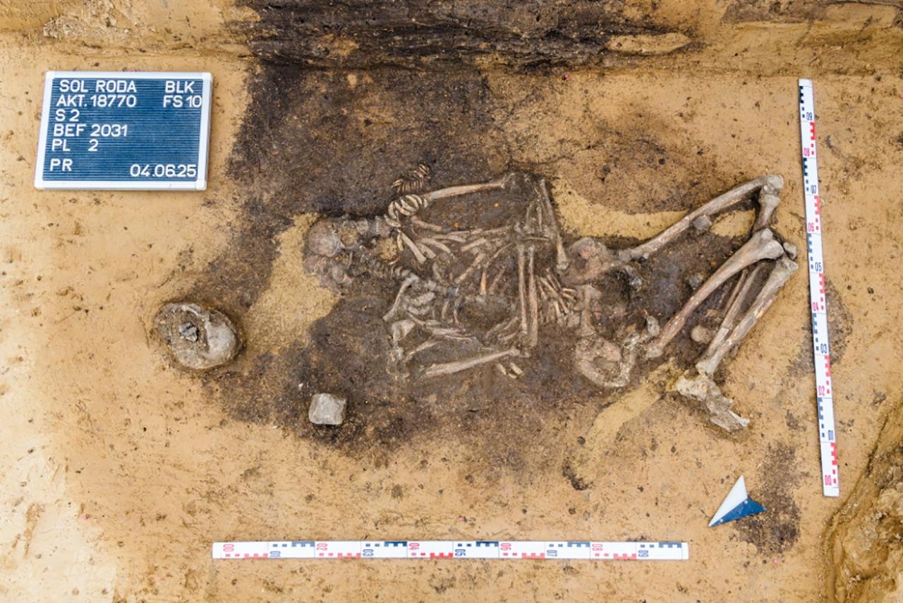 4,500-year-old dog tooth–adorned bags unearthed in Germany reveal burial practices of Neolithic elites 4,500-year-old dog tooth–adorned bags unearthed in Germany reveal burial practices of Neolithic elites
