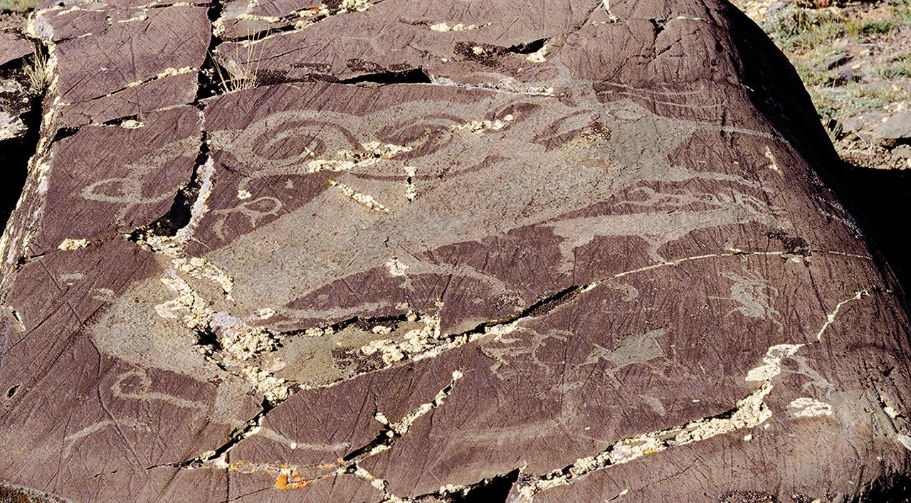 Ancient elk petroglyphs in Mongolia show 12,000-year shift from realism to wolf-like symbols