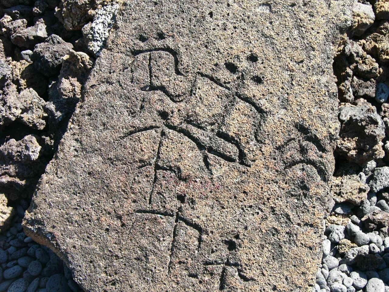 Ancient Hawaiian petroglyphs reemerge on Oahu’s shores after years of being hidden