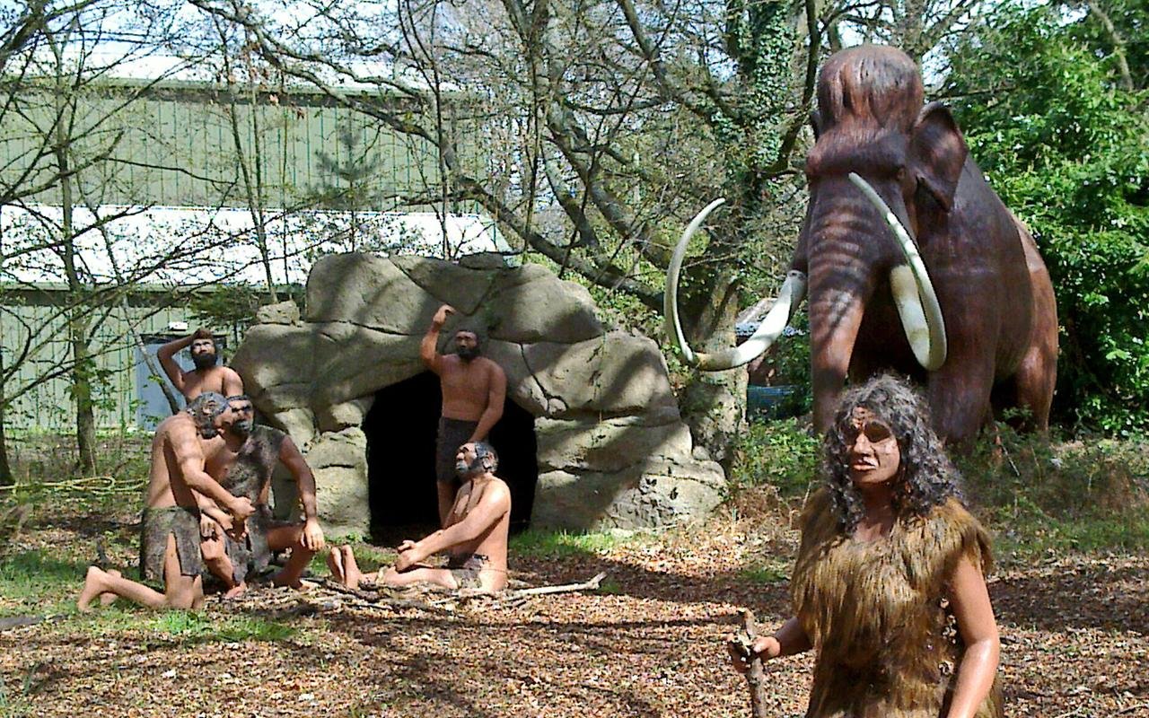 Neanderthals ate maggots and fermented meat, not just fresh meat, challenging hypercarnivore theory