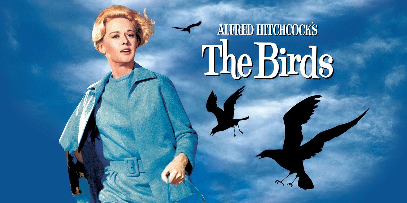 New Cardi B Album Announcement Pays Tribute To Iconic 62-Year-Old Horror Movie New Cardi B Album Announcement Pays Tribute To Iconic 62-Year-Old Horror Movie