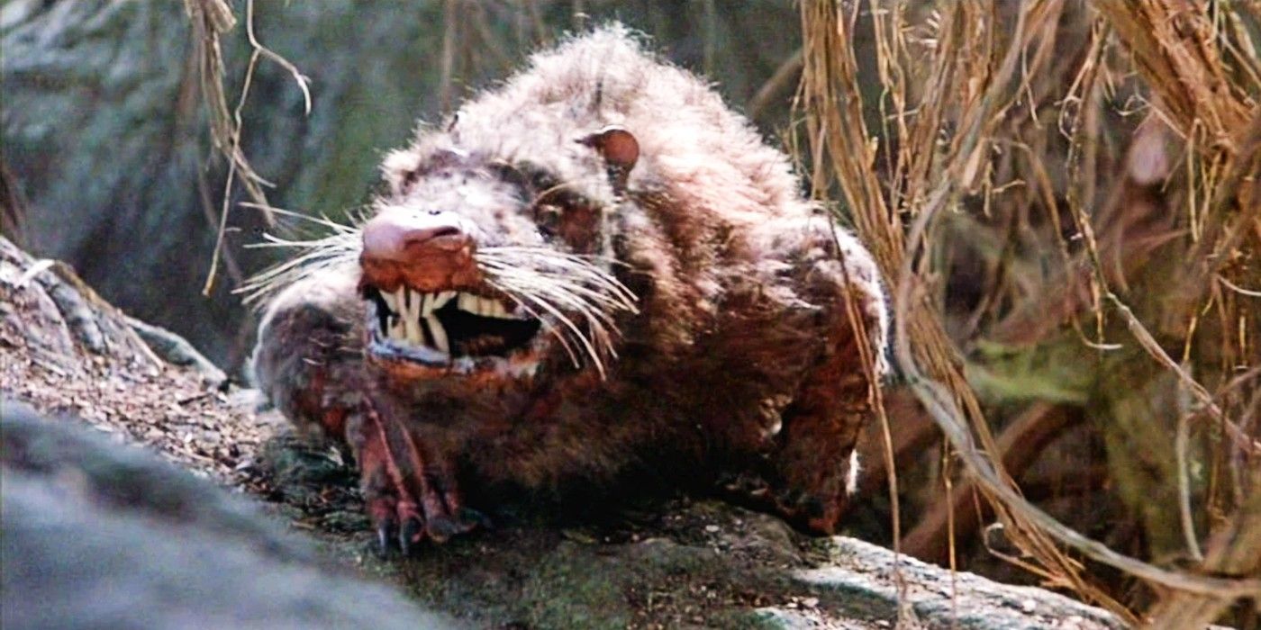 Every Fight Scene In The Princess Bride, Ranked