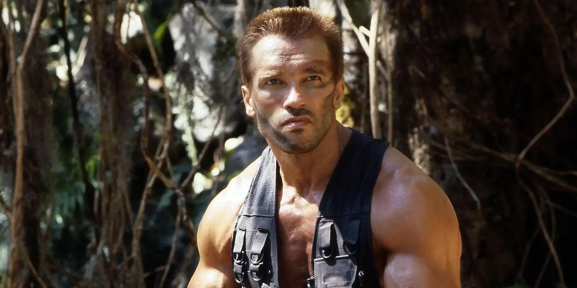 Predator Already Created A Potential Problem With Arnold Schwarzenegger’s Return
