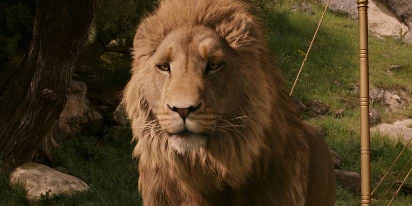 10 Greatest Fantasy Movie Franchises Ever (Number One Isn’t Up For Debate)