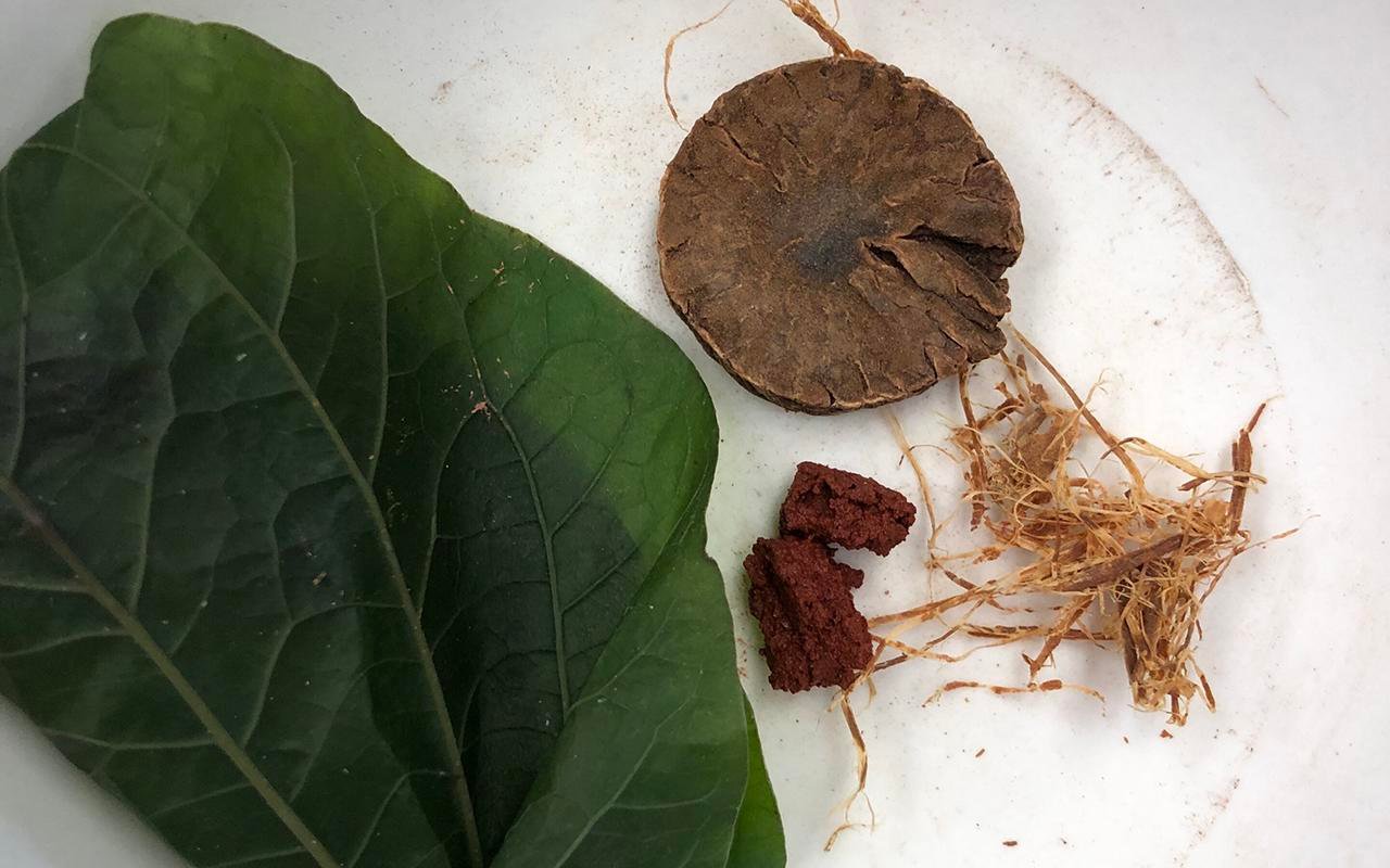 4,000-year-old teeth reveal earliest evidence of betel nut chewing in Southeast Asia
