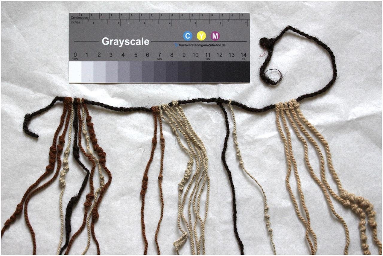 Human hair khipus reveal Inca record-keeping was used by both elites and commoners