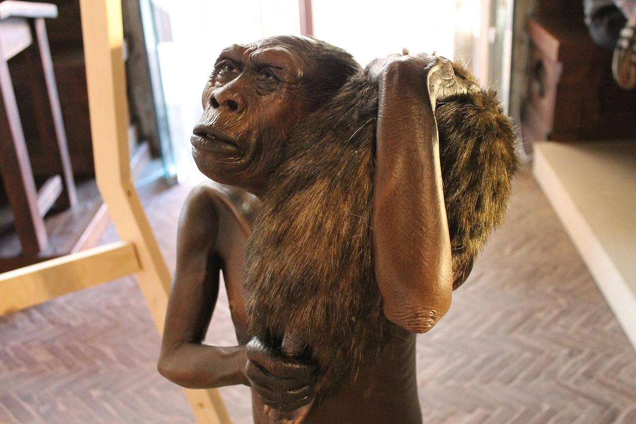 Mystery early human relatives reached Sulawesi over a million years ago, oldest evidence found on ‘hobbit’ island neighbor