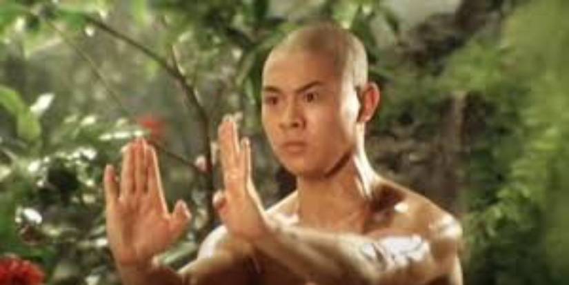 6 Old-School Kung Fu Movie Franchises You Should Binge Watch