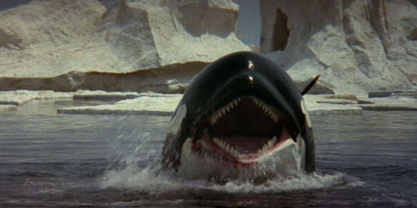 The Blatant Spielberg Ripoff That Became A Cult Classic 48 Years Later