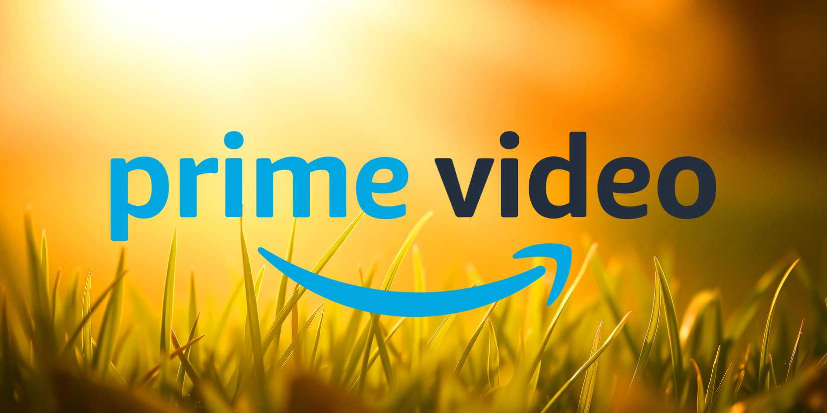 Prime Video Lawsuit Alleges They Lied To Customers Who Purchased Movies