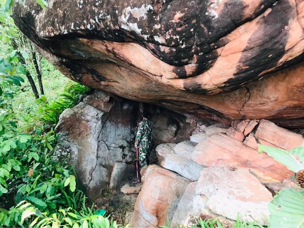 Mysterious cave with ancient rock art unearthed in Thai forest sanctuary