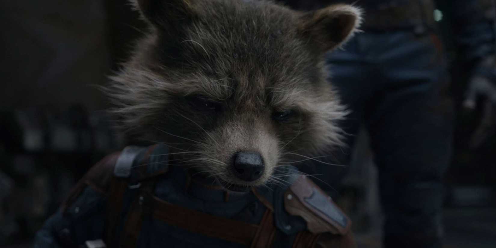 1 Line Makes Rocket’s MCU Backstory Even Sadder In Guardians of the Galaxy Vol. 3