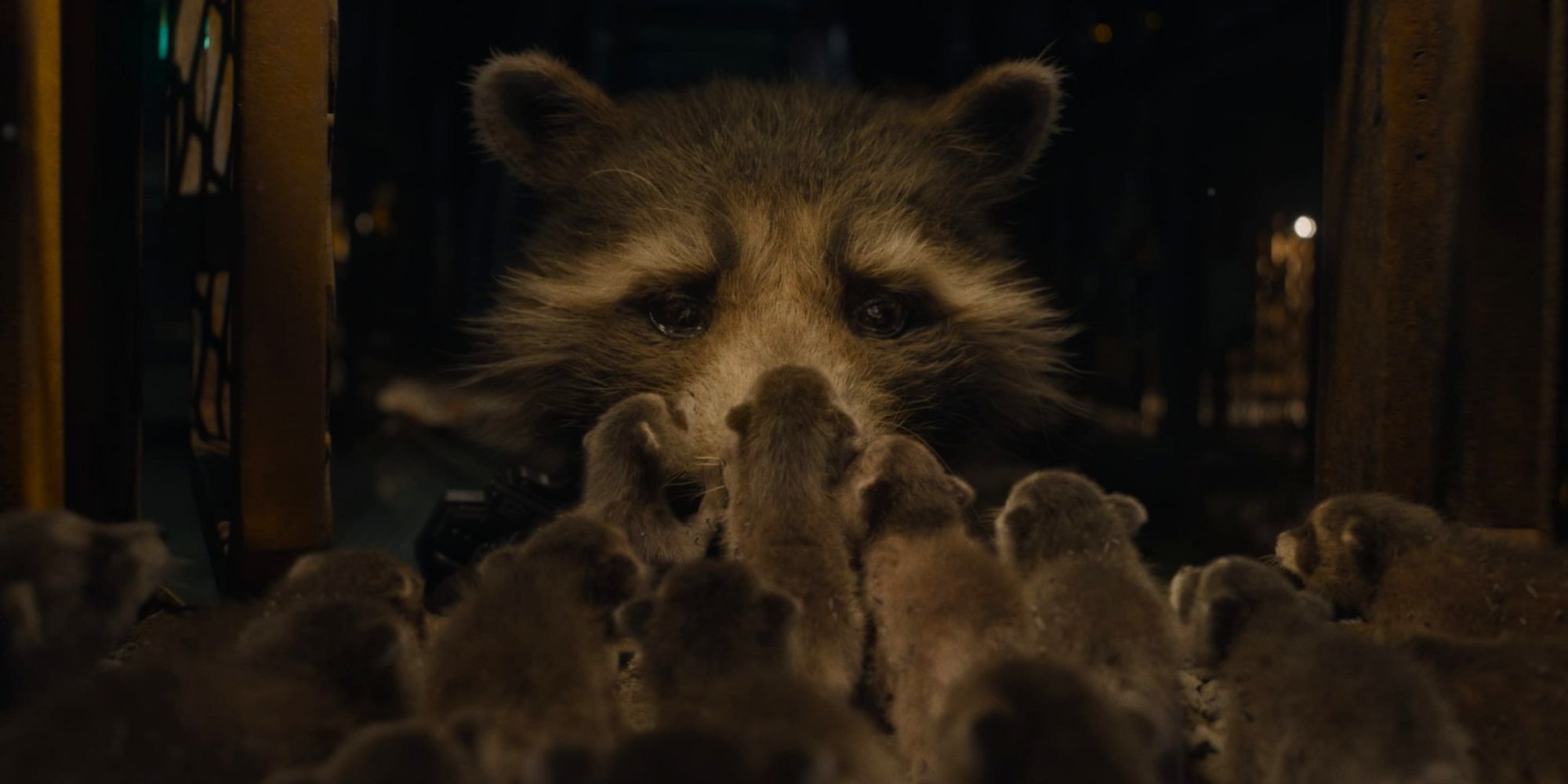 Guardians Of The Galaxy 3 Totally Changed Rocket’s Story In 8 Different Scenes