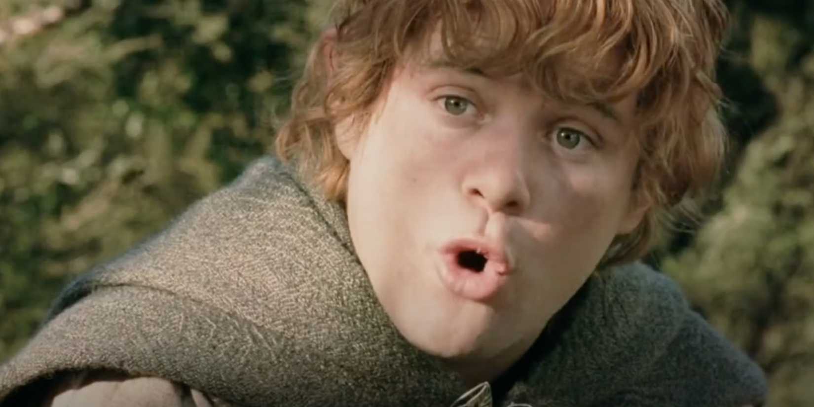 9 Reasons Samwise Gamgee Is Lord Of The Rings’ Most Important Fellowship Member