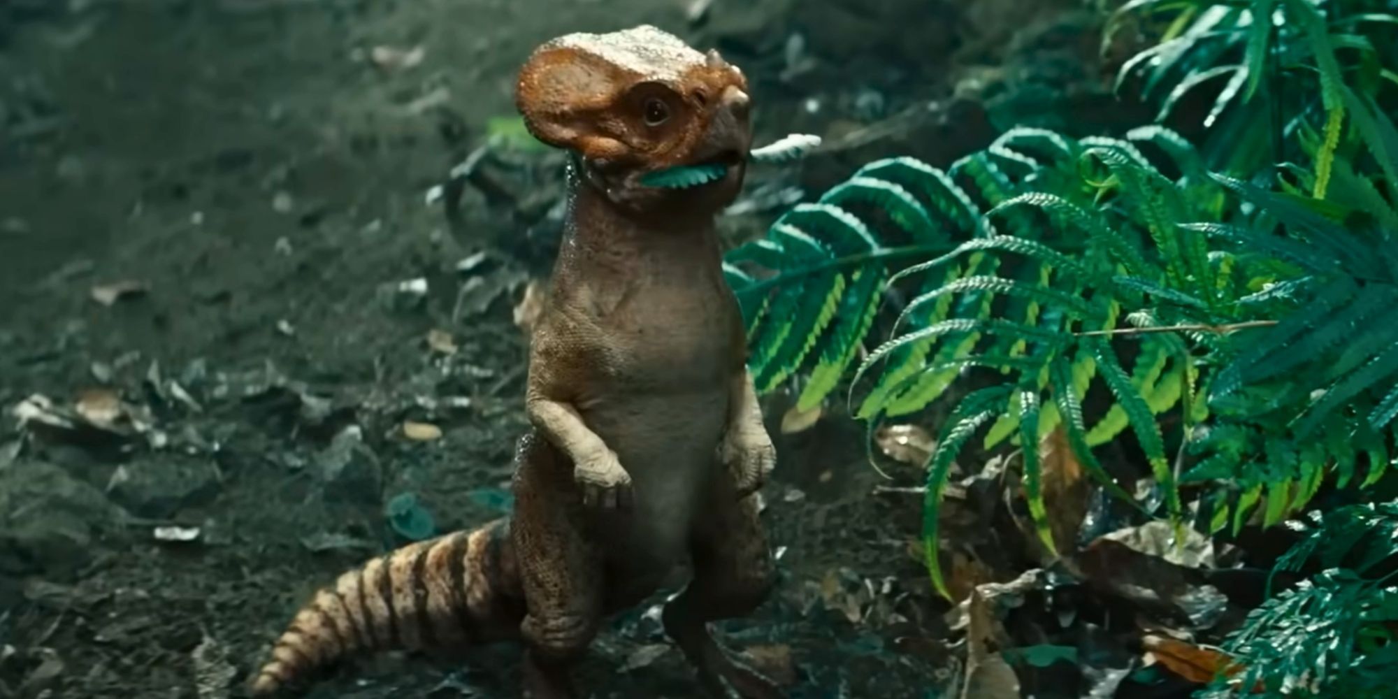 Jurᴀssic World Rebirth’s Dolores & The Franchise’s 11 Friendliest Dinosaurs
