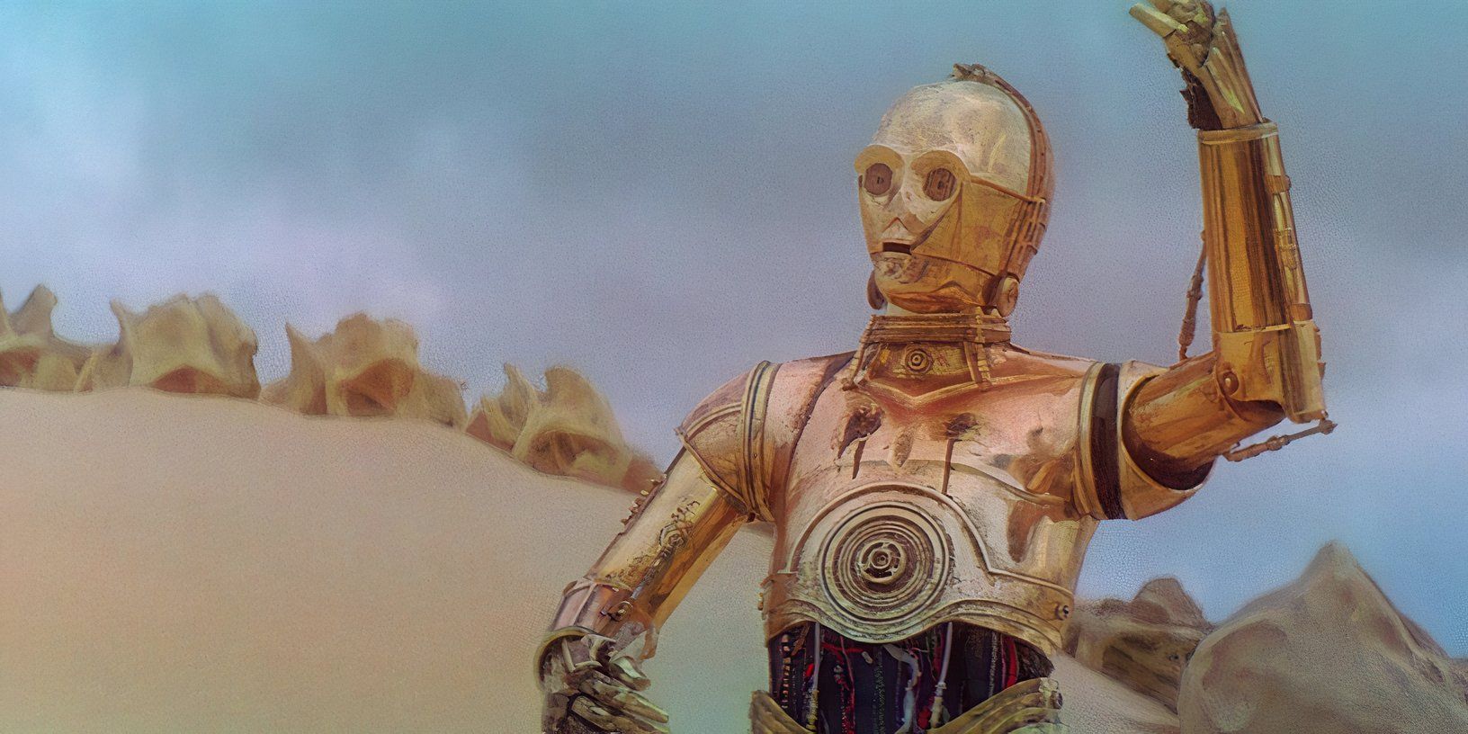 A 500-Million-Year-Old Creature Just Got Named After A Star Wars Monster