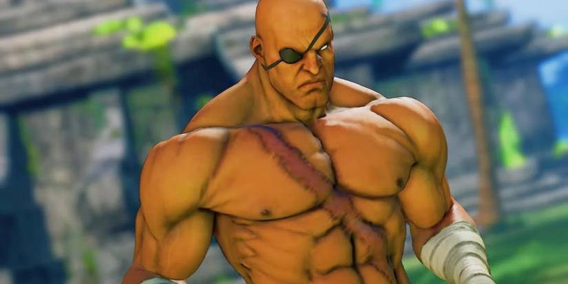 The Street Fighter Characters Left Out Of Reboot 32 Years After 11% RT Disaster