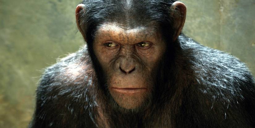 This 57-Year-Old Franchise Is Exactly What Jurᴀssic Park Has Failed To Be
