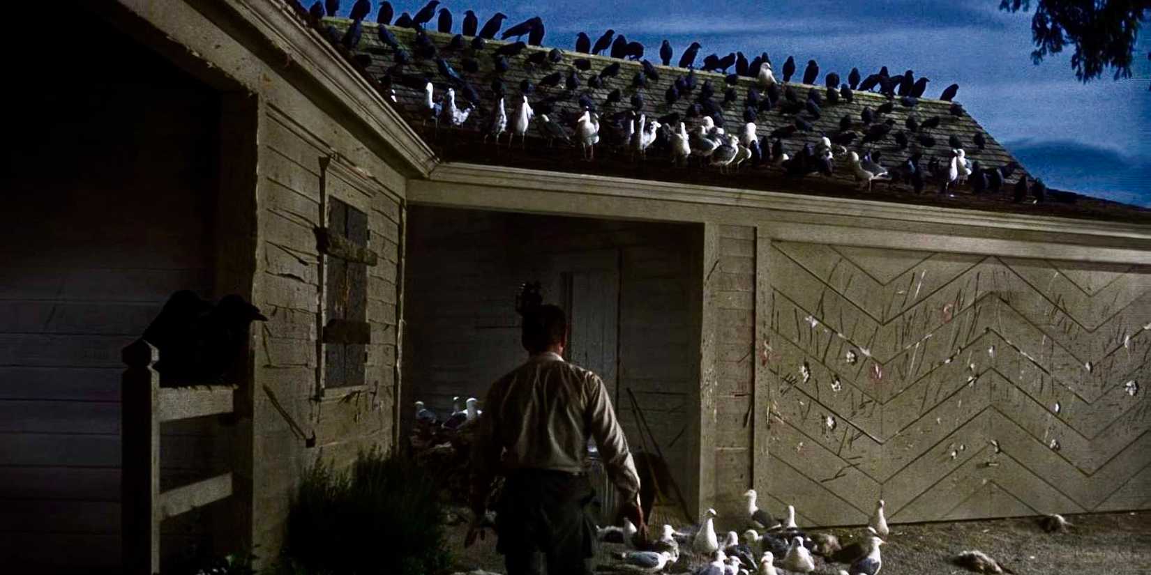 8 Real-Life Phobias We Only Have Thanks To Horror Movies