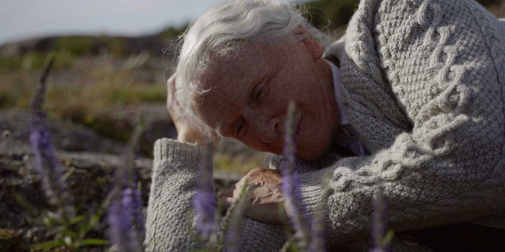 The Summer Book Review: Glenn Close’s Transformative Performance Teaches Us Grace & Beauty In Death