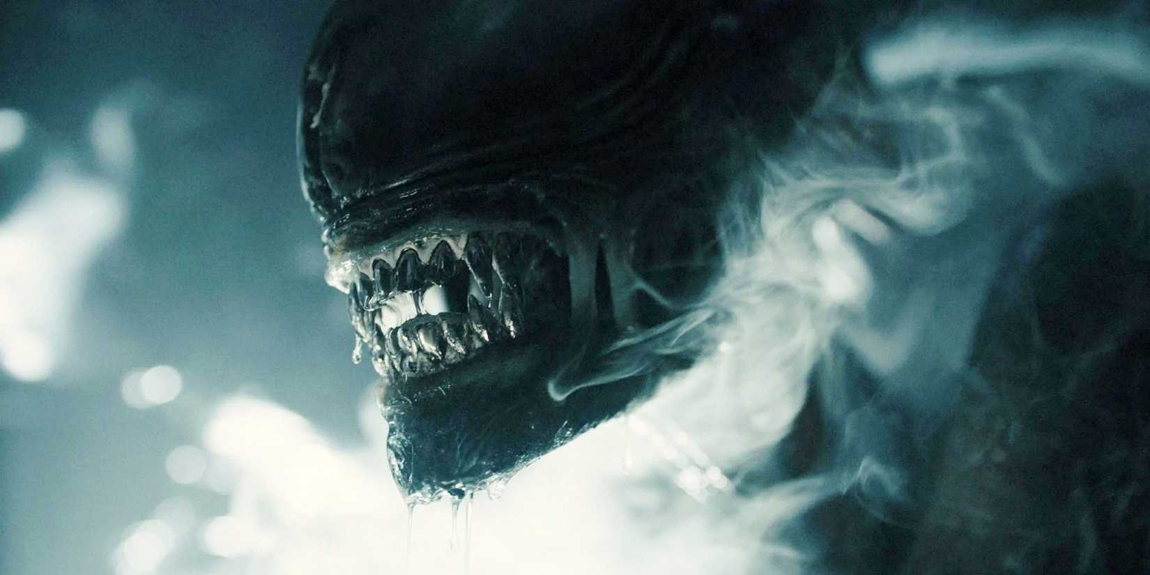 Predator: Badlands’ Biggest Theory Has Been Debunked & That’s Good