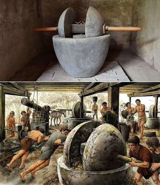 Echoes of the Stone Press: The Forgotten Artisans of the Olive Age