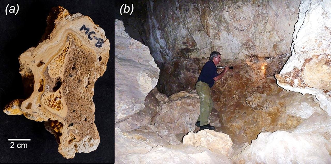 Ancient kangaroo bone study overturns claims of human hunting and reveals Australia’s first fossil collectors Ancient kangaroo bone study overturns claims of human hunting and reveals Australia’s first fossil collectors