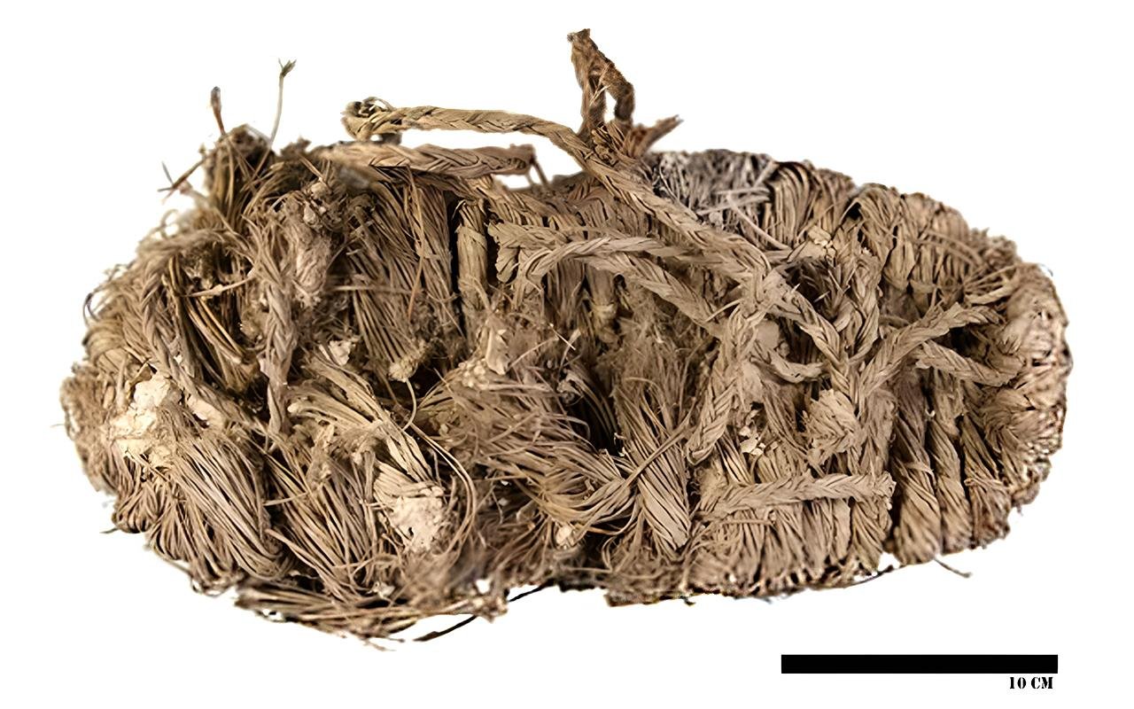 650-year-old sandal and other medieval artifacts found in centuries-old vulture nests in southern Spain