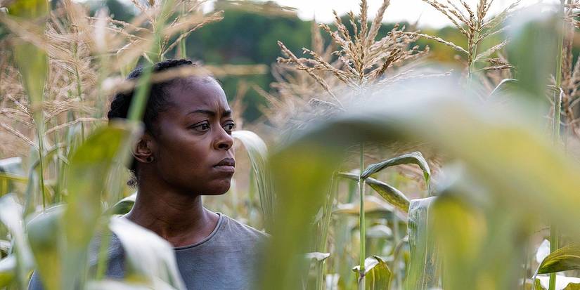 Overlooked Post-Apocalyptic Thriller That Made Only 6,595 Is No. 1 On Hulu Overlooked Post-Apocalyptic Thriller That Made Only 6,595 Is No. 1 On Hulu