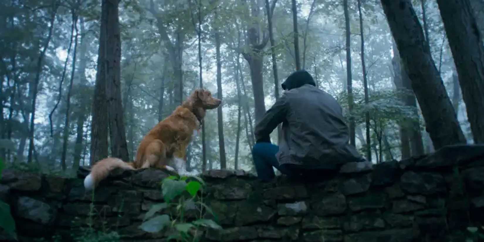 Good Boy Ending Explained: Todd’s Fate & What The Enтιтy Wanted