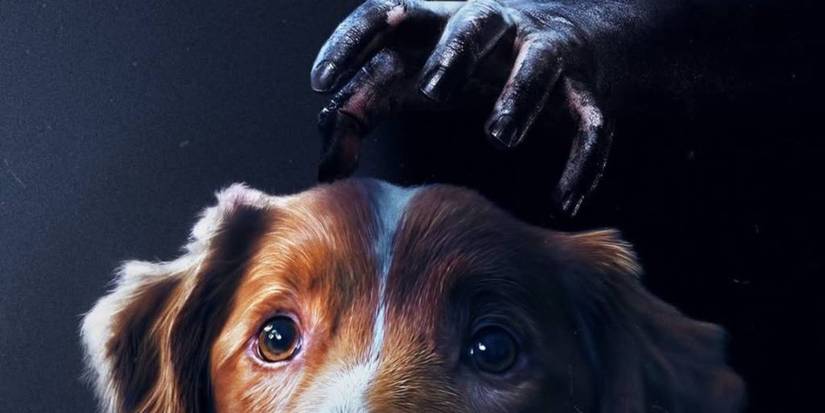 Good Boy Ending Explained: Why [SPOILER] Doesn’t Die In The Finale