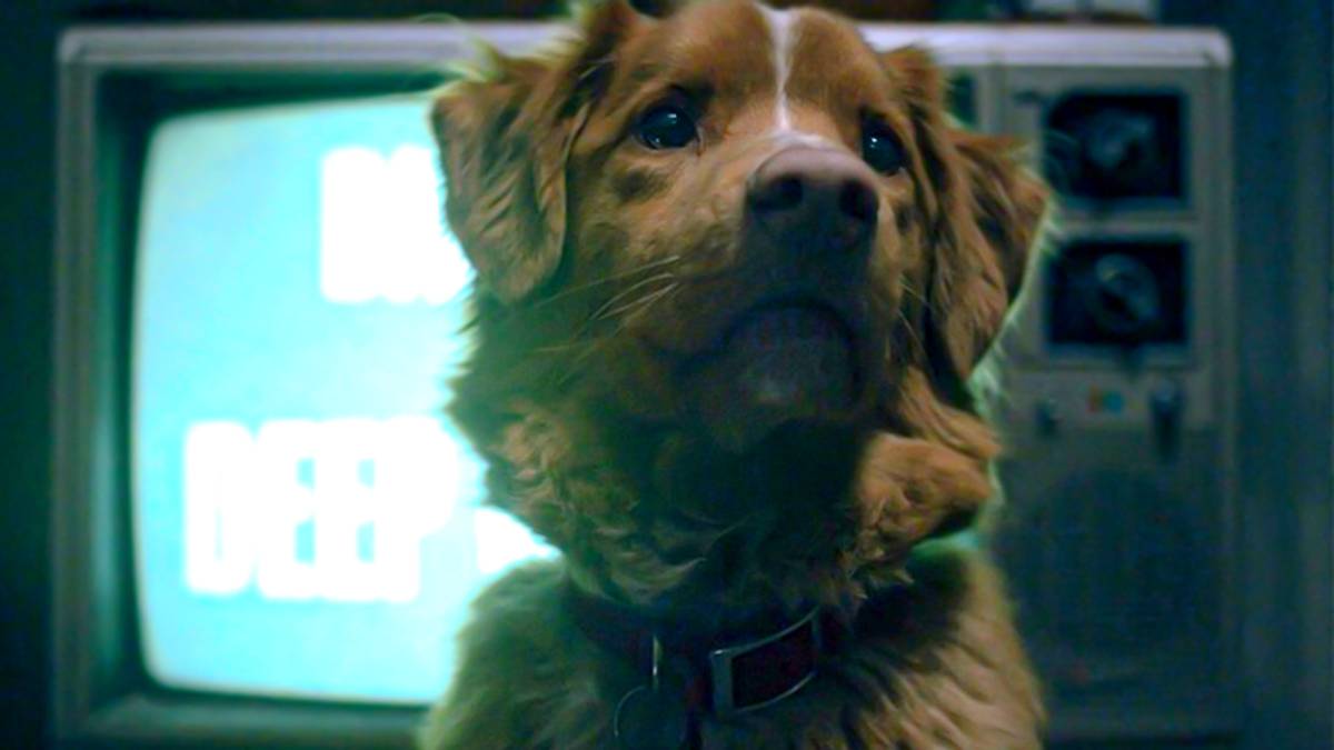 How The Good Boy Team Created The Most Adorable & Innovative Horror Movie Of The Year