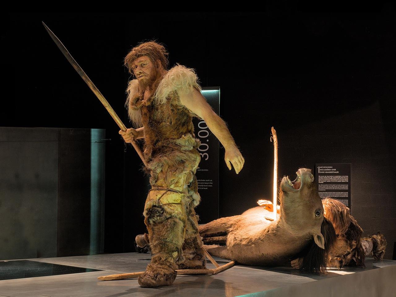 Neanderthals and early humans reshaped Europe’s landscapes long before the rise of agriculture, study finds Neanderthals and early humans reshaped Europe’s landscapes long before the rise of agriculture, study finds