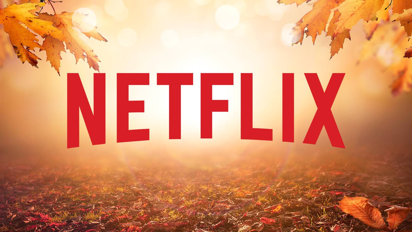 After Lukewarm 5M Box Office, Ralph Macchio’s Martial Arts Movie Becomes A Netflix Hit After Lukewarm 5M Box Office, Ralph Macchio’s Martial Arts Movie Becomes A Netflix Hit