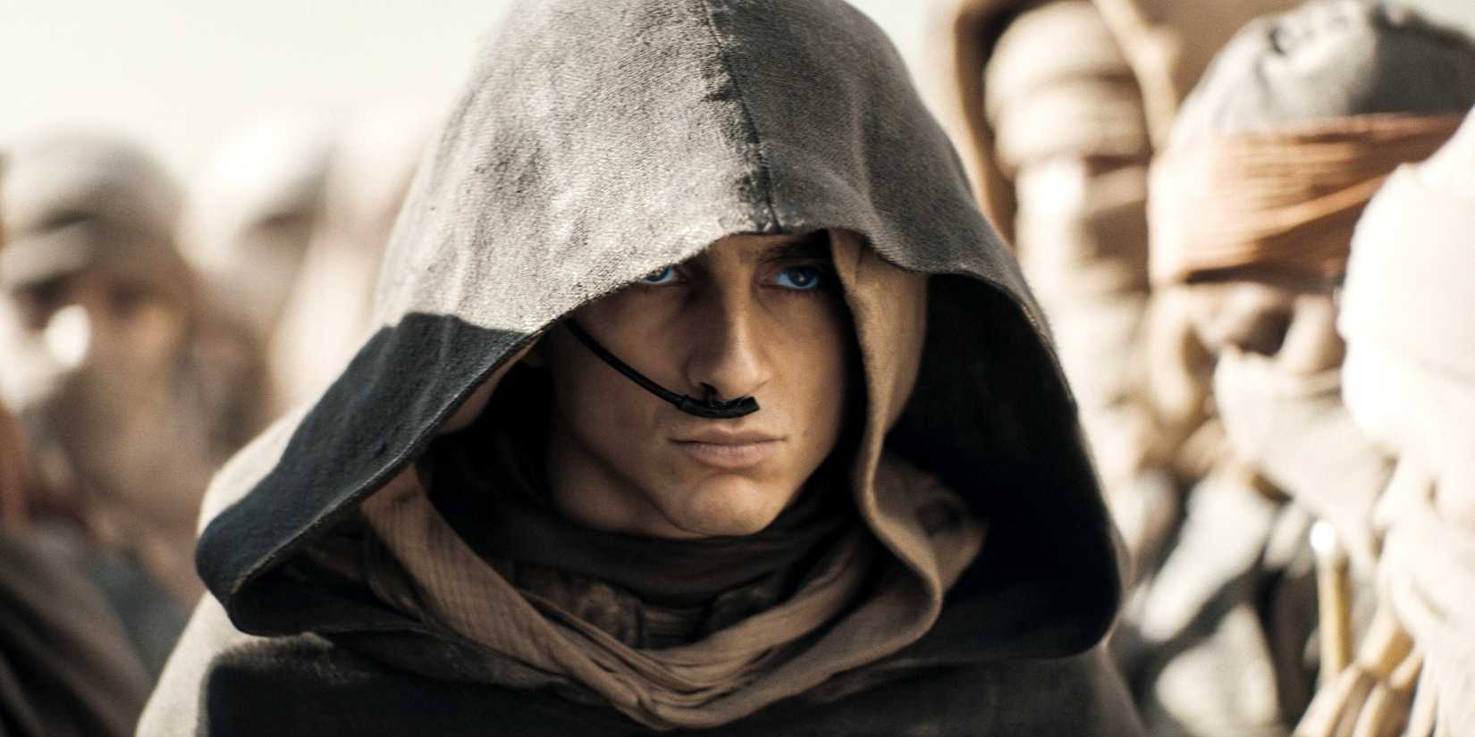 Did Timothée Chalamet Shave His Head For Dune 3? What That Would Mean
