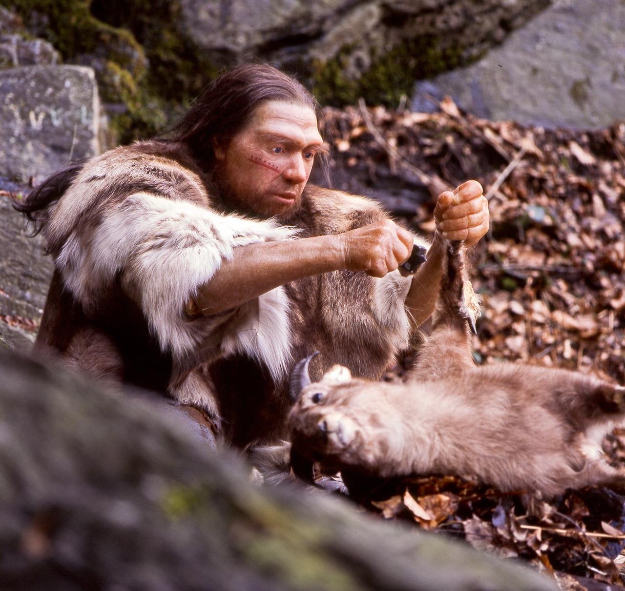 Lead exposure may have influenced brain and language development in early humans and Neanderthals Lead exposure may have influenced brain and language development in early humans and Neanderthals
