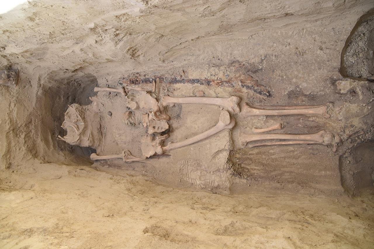 1,300-year-old tomb of Avar warrior unearthed in Hungary reveals rare sabre and treasures 1,300-year-old tomb of Avar warrior unearthed in Hungary reveals rare sabre and treasures