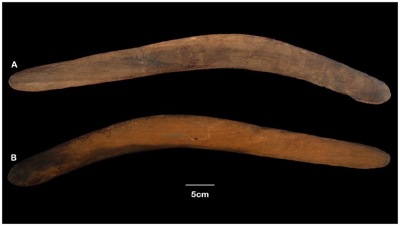 Study of a unique Australian boomerang bridges Indigenous knowledge and archaeology