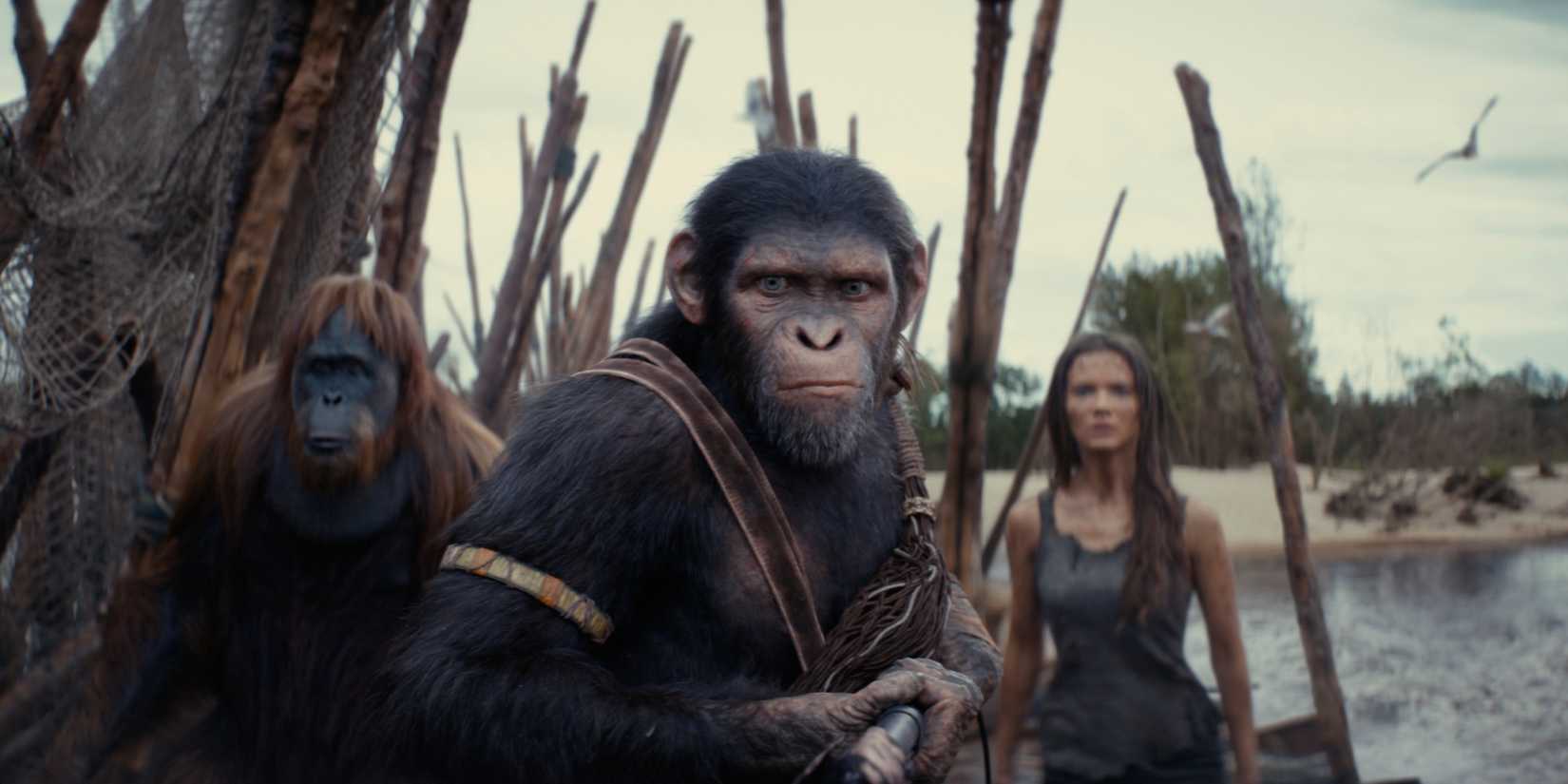 How Long It Takes To Watch Each Of Hollywood’s 10 Longest Movie Franchises