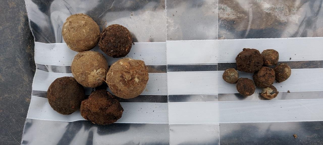 Over 100 musket balls unearthed at Culloden reveal valiant last stand